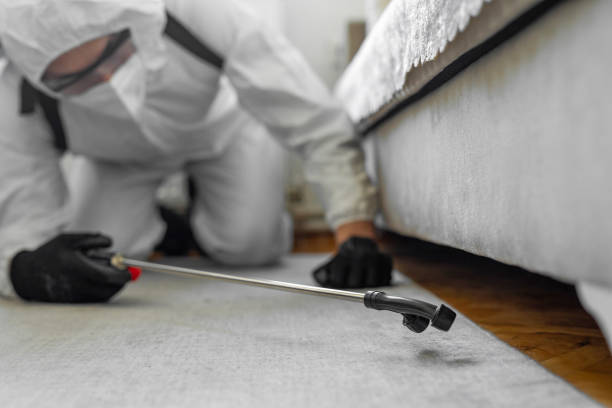 Professional Bed Bug Control technician working in Galva, IL
